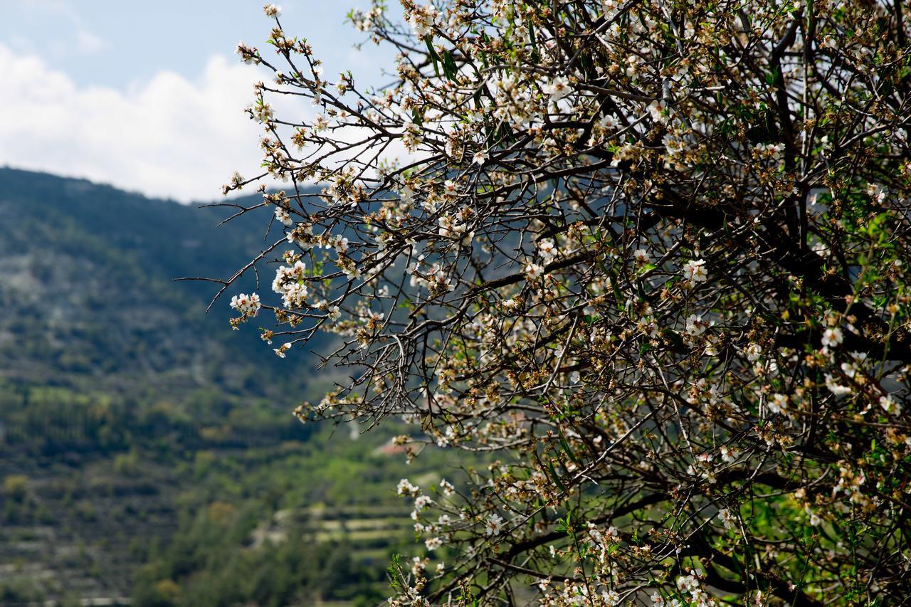 The Old Olive Mill House By Trulycyprus Villa Dhoros Екстериор снимка