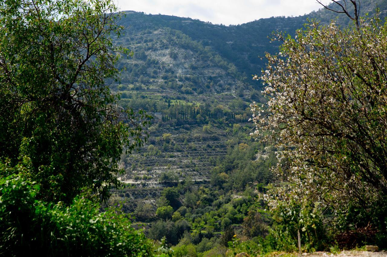 The Old Olive Mill House By Trulycyprus Villa Dhoros Екстериор снимка
